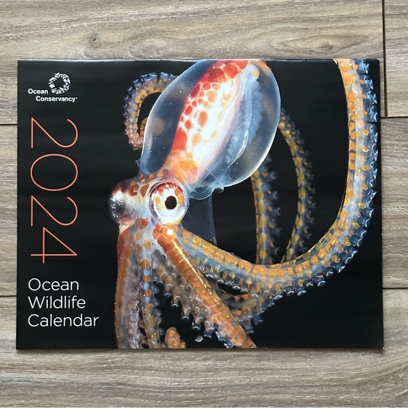 Office 16 Month Ocean Conservancy 224 Ocean Wildlife Calendar Poshmark